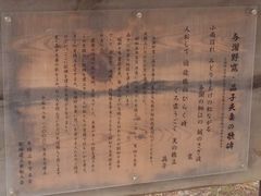 �V�����̎ʐ^1