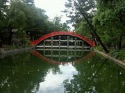 ܂̔iZgЂ̑ۋj̓eʐ^1