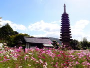 ǁ[̔ʎ᎛̃RXX̓eʐ^1