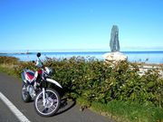 񂳂̊ԋ{ёno`̒n̓eʐ^1