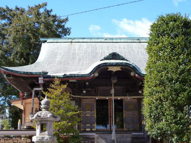 ���c�{��_��