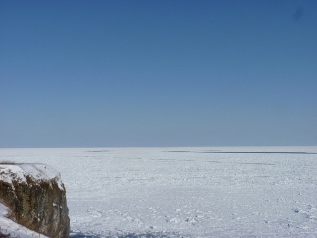 �\�斦�C��