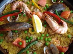 �ށ[������̕��c�_��ւ̓��e�ʐ^1