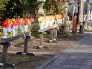 oto-chann̑_Ђ̓eʐ^1