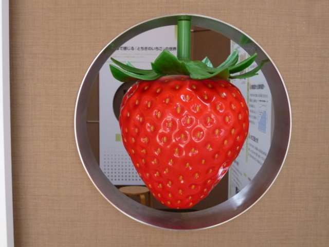 ���̉w�@�ɂ݂̂�