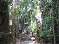 ��������̌F��Ó��@����ւ̓��e�ʐ^1