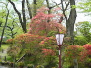 oto-chann̒IqՂ̂̓eʐ^1