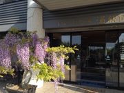 [񂳂̂܂ق΂̓eق̓eʐ^1