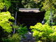 しどーさんの神護寺（京都府京都市）の投稿写真1