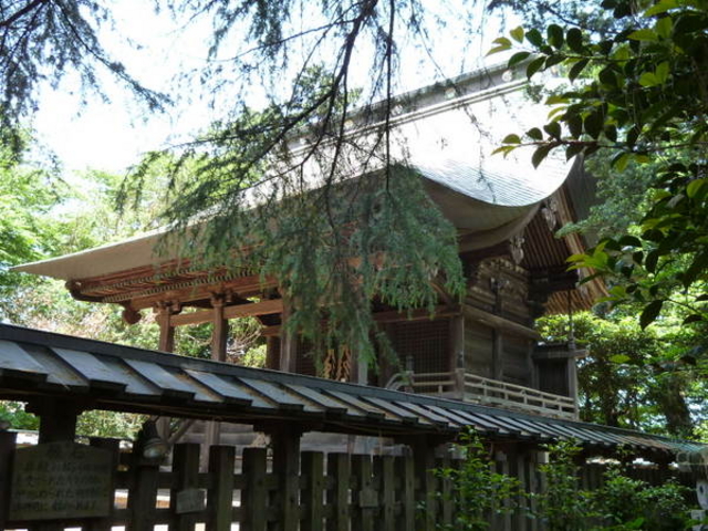 oto-chann̑󔪔{{a̓eʐ^1