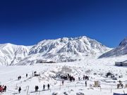 Ɓ[낳̗RAy[gyxRz̓eʐ^1