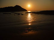 golddragon̋Ոl̓eʐ^1