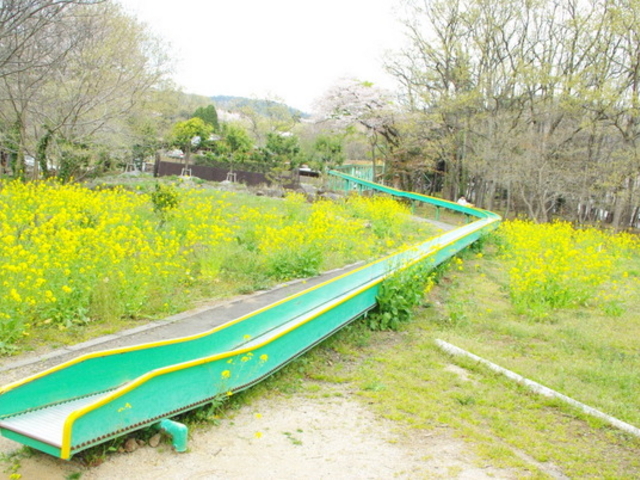 ₷}}̒}gӂꂠ̗̓eʐ^1