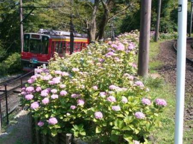 �����o�R�d�ԉ����̃A�W�T�C