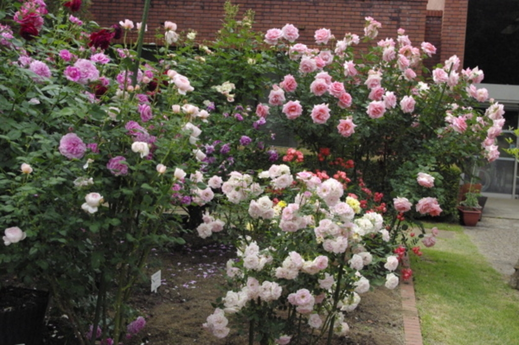 ひたち野うしく駅周辺の公園 庭園ランキングtop10 じゃらんnet