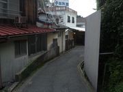 ������pg����̑�͓�����̓��e�ʐ^1