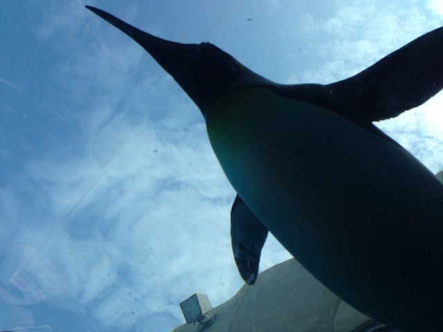 ���R������