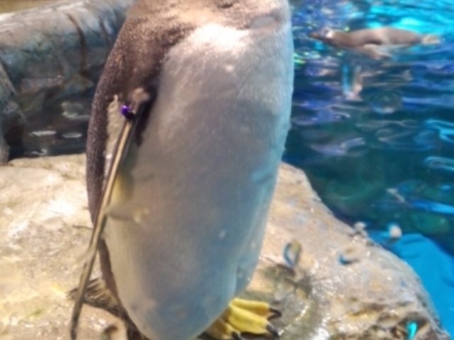 ���֎s�������̂��������فE�C����