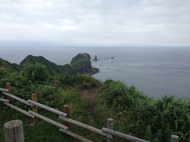 �܂��Ă��Ĕ����ł����c_�_�Ж�