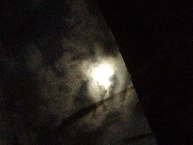 ��Ό�����