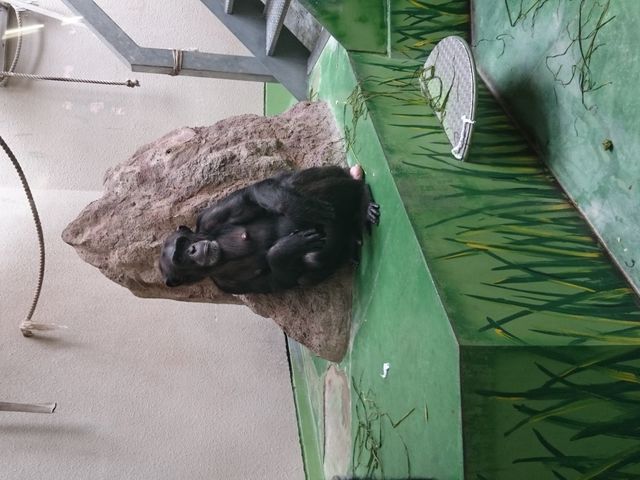 ���ρ[��������