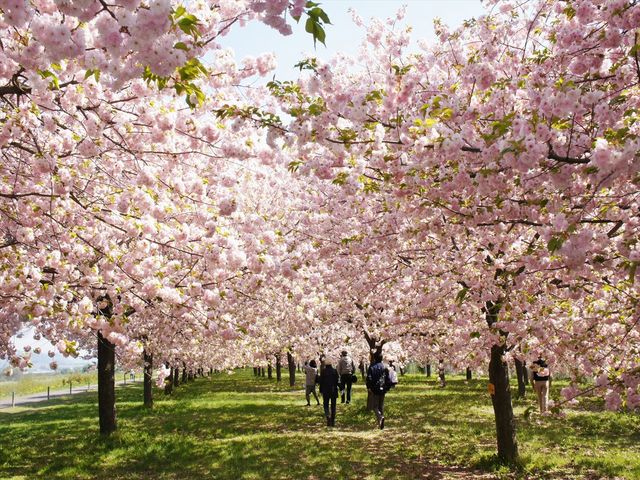 ���d���̍���B����ȑ�R�̍����߂Č��܂����B
���É����痈���b�オ����܂���_����