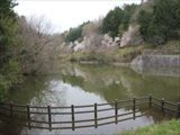 {[Ŷ݂Ȃqǂ̐X̓eʐ^1