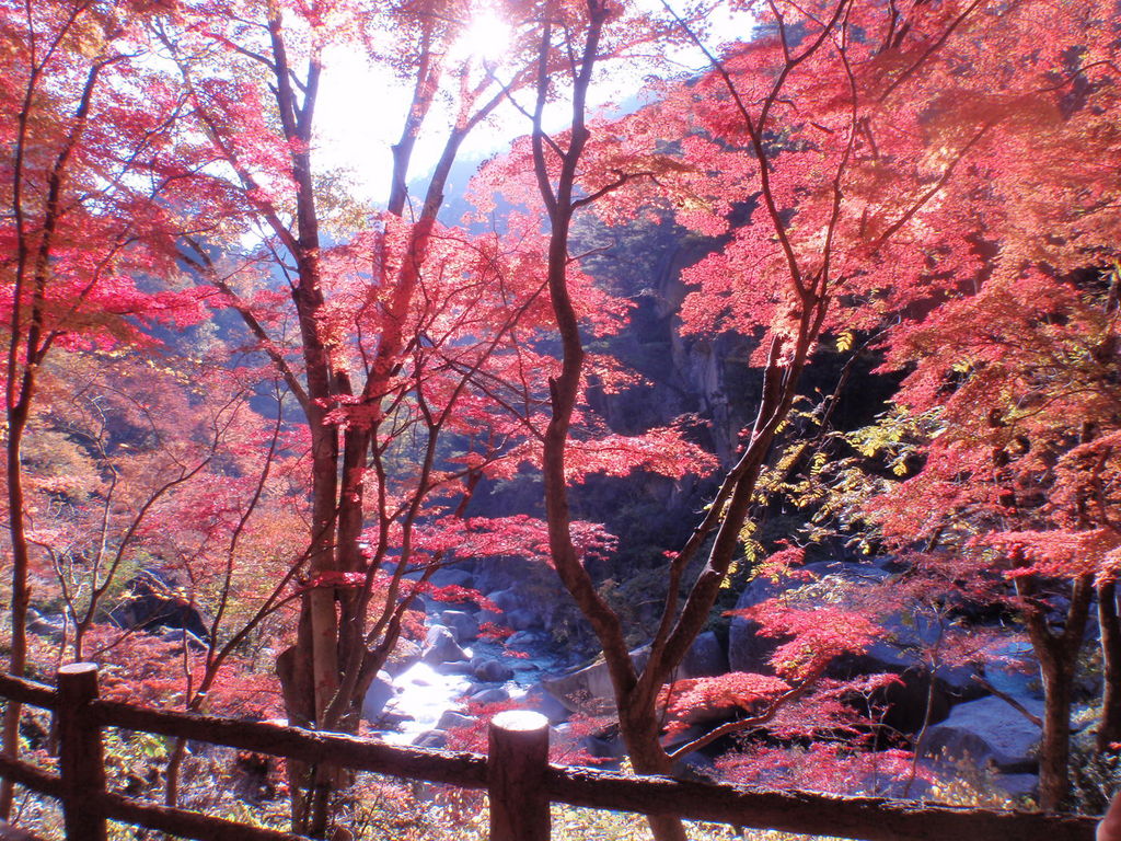 昇仙峡の紅葉