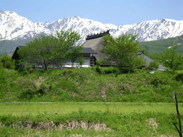 G`΂񂳂̑o݂̒苴̓eʐ^1