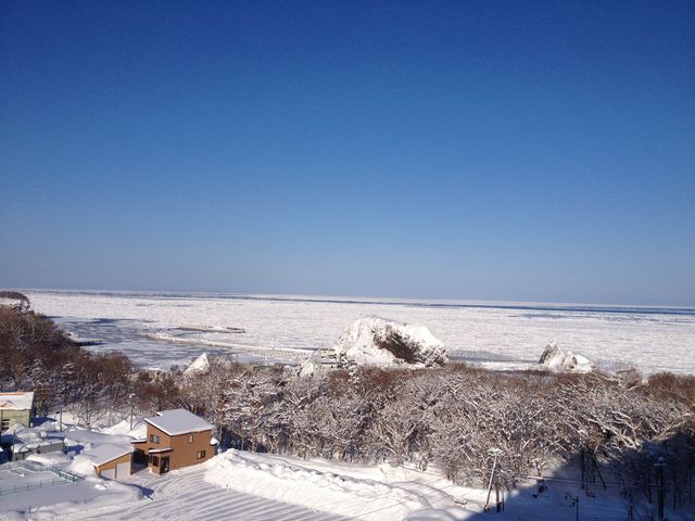 �C��ʐ^����_�I�z�[�c�N�C�̗��X