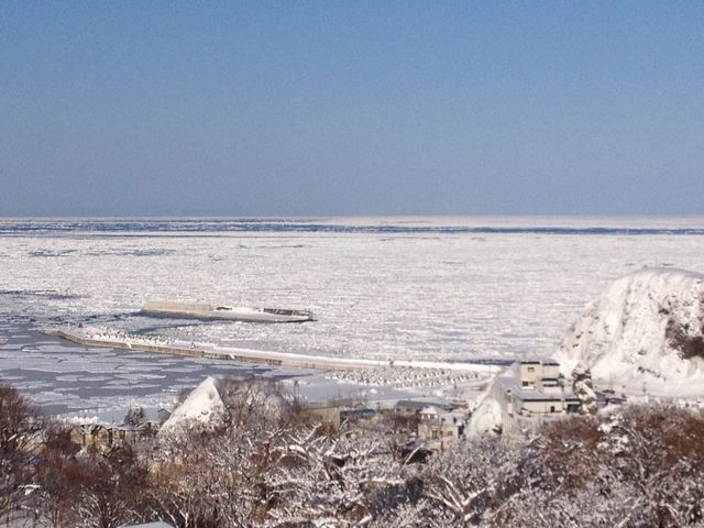 �C��ʐ^����_�I�z�[�c�N�C�̗��X