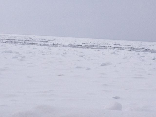 �C��ʐ^����_�I�z�[�c�N�C�̗��X