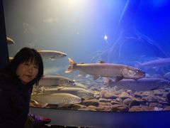 �k�̑�n�̐����ق̎ʐ^2