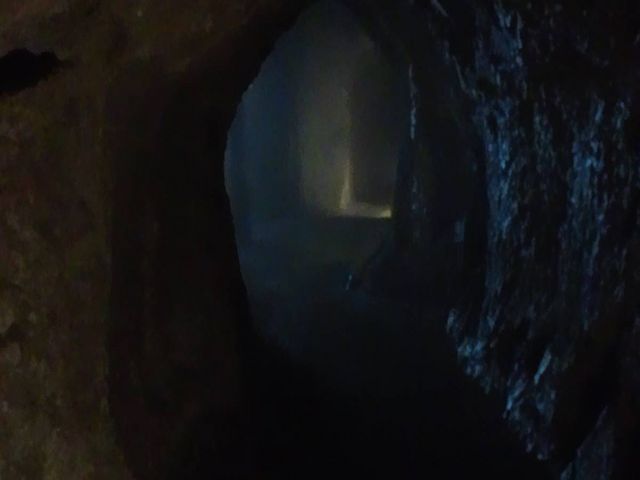 �ԕ��̒���15���B�����̋�J���`����Ă��܂��B�ꌩ�̉��l����B_�������ԕ�