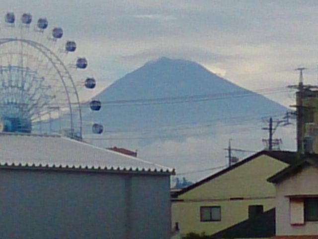 �ϗ��Ԃ��猩�����x�m�R�B�����̊ϗ��ԃX�e�L�I_�G�X�p���X�h���[���v���U