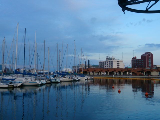 �����`�����}���`�b�N�I_�G�X�p���X�h���[���v���U