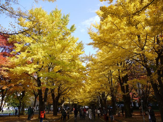 �k��C�`���E����