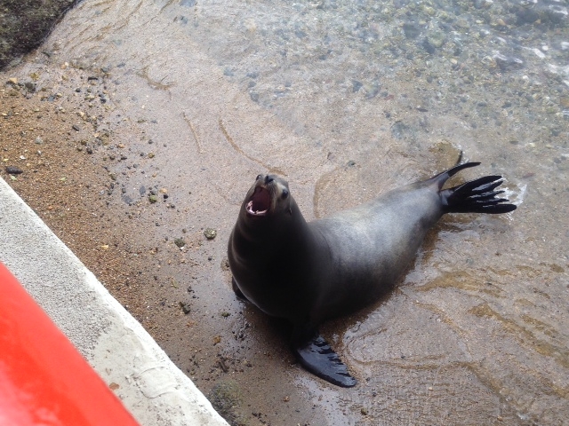 ������_���c�C��������