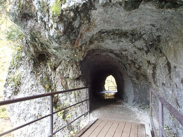 ���A�g���l��_���Ԃ�k�J