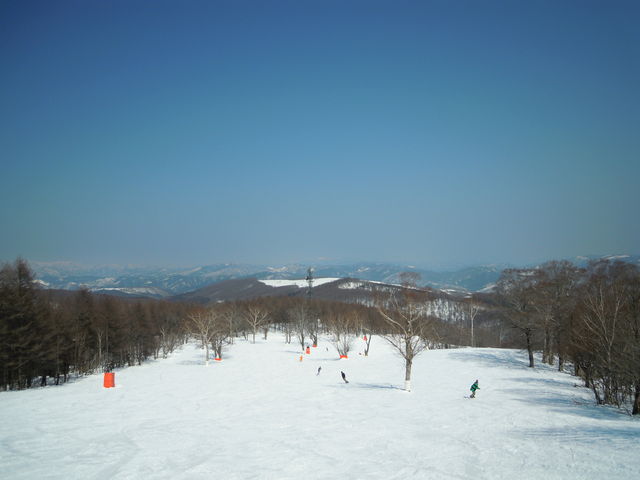 ��500�i�㕔�j�B_�߂��ق�