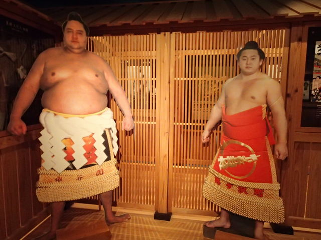 ���ƕ��̊C_�˃��򑊖o��