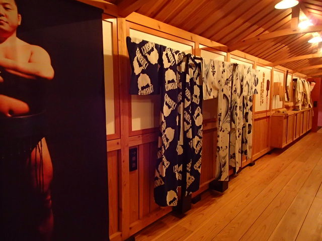 �W���i_�˃��򑊖o��