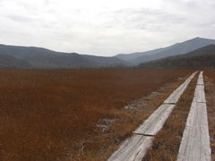 �����P���̎ʐ^1