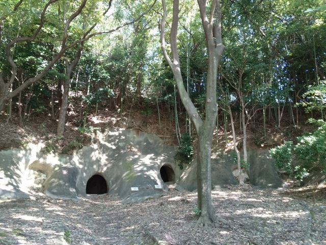 �ڗ�������̎s�P�������Õ��Q�̓��e�ʐ^1