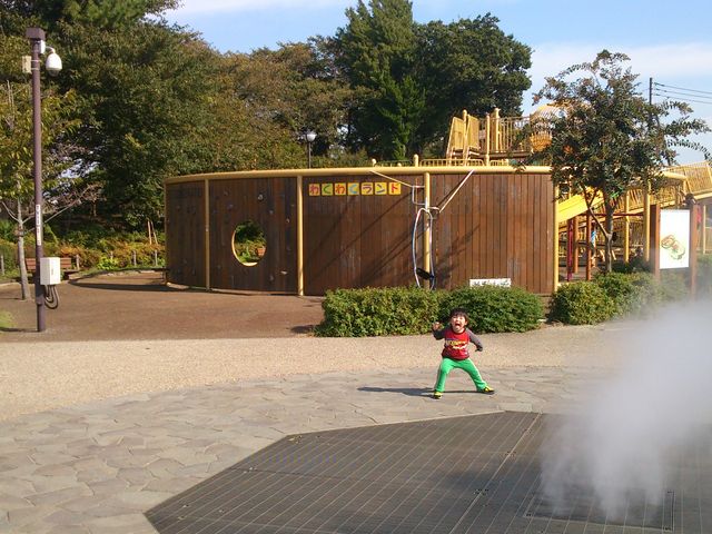 �~�X�g�������o���Ă܂�_�_�ސ쌧�����͎O�����