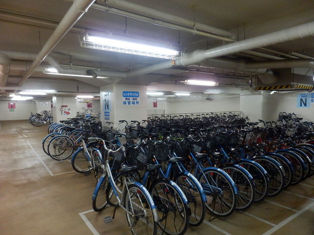 �����s�����^�T�C�N��