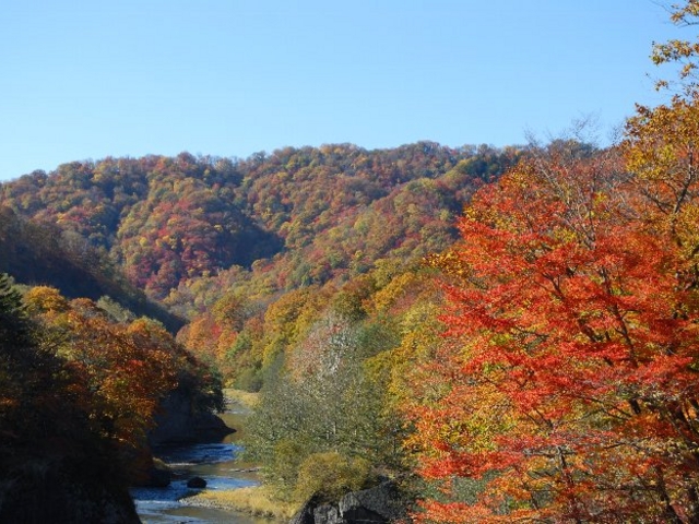 ���΂��肪�N���[�Y�A�b�v���ꂪ���ł����A�������̒��߂������ł���B_��̏�����i�|���\�E�J���C�R�^���璹�P��j