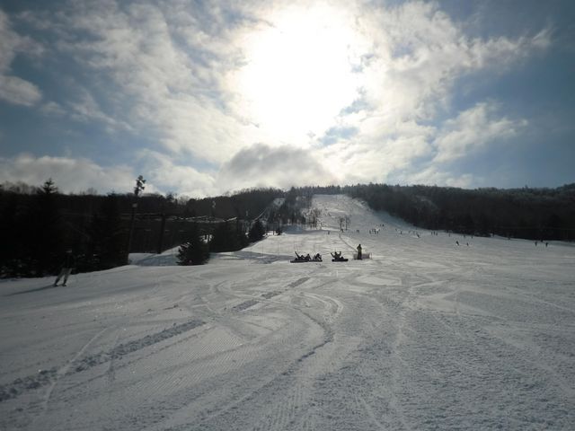 R̊o͋}łA̓ChɍLyQfłI_uꍂGAu̐t@~[XL[v