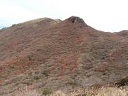 muûイRQ̍gt̓eʐ^1