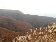 muûイRQ̍gt̓eʐ^3